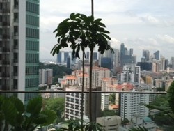 Espada (D9), Apartment #171310232